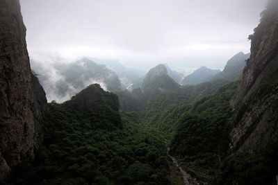 IMG_3411.jpg