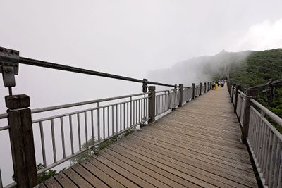 IMG_3483.jpg