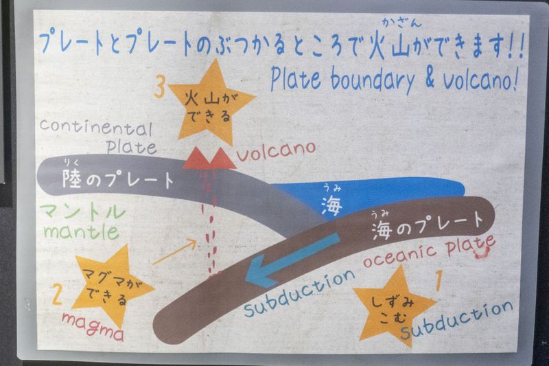 g13/84/427384/2/174909870.c6e87ca0.JPEG