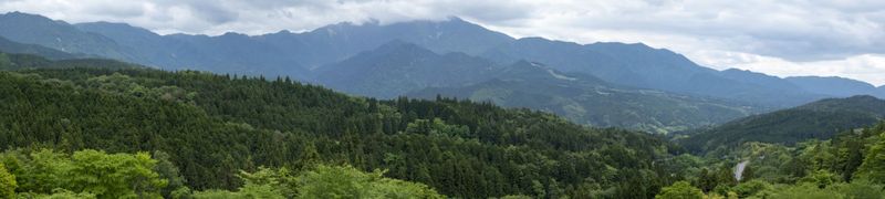 g13/84/427384/2/174909943.8d92e7fa.JPEG