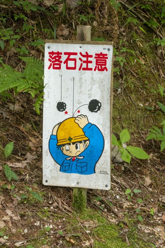 g13/84/427384/2/174909951.237f134f.JPEG