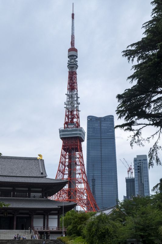 g13/84/427384/2/174909995.737c1f82.JPEG