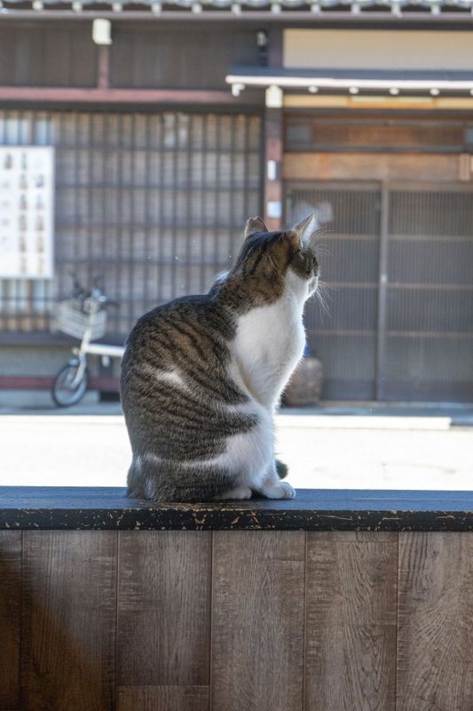 g13/84/427384/2/174910068.a8700447.JPEG