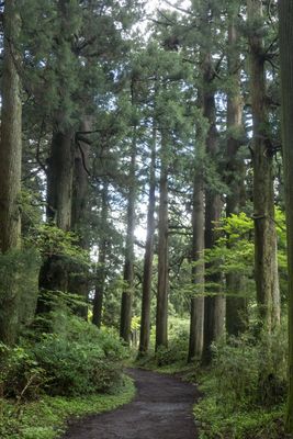 g13/84/427384/3/174909878.915d8d06.JPEG