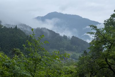g13/84/427384/3/174909953.1e65362e.JPEG