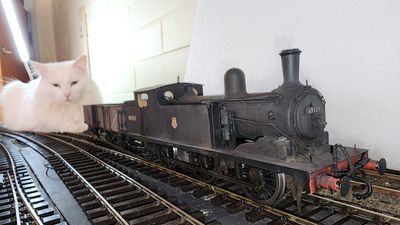 20231018_181206.jpg