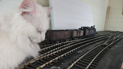 20231018_181221.jpg