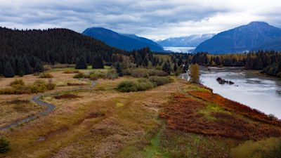 Fall colors with Mendenhall Glacier in the background