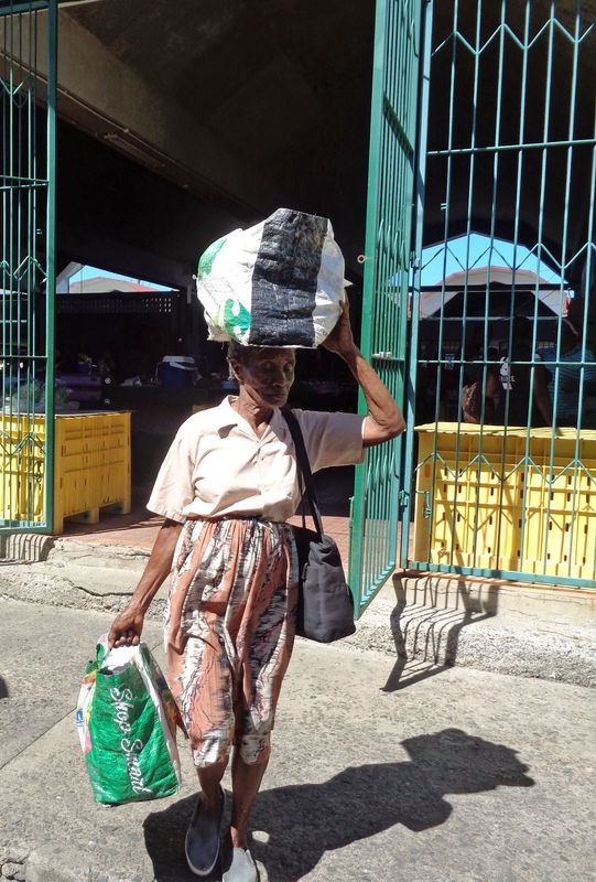 050 Traditional Means of Carrying Things Persist.jpg
