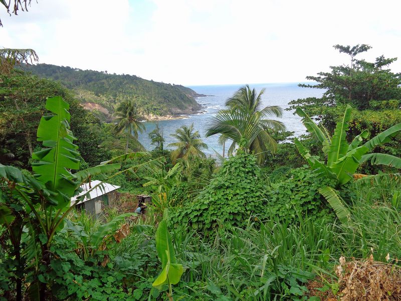 069 View of the Atlantic with a Local  Outhouse.jpg