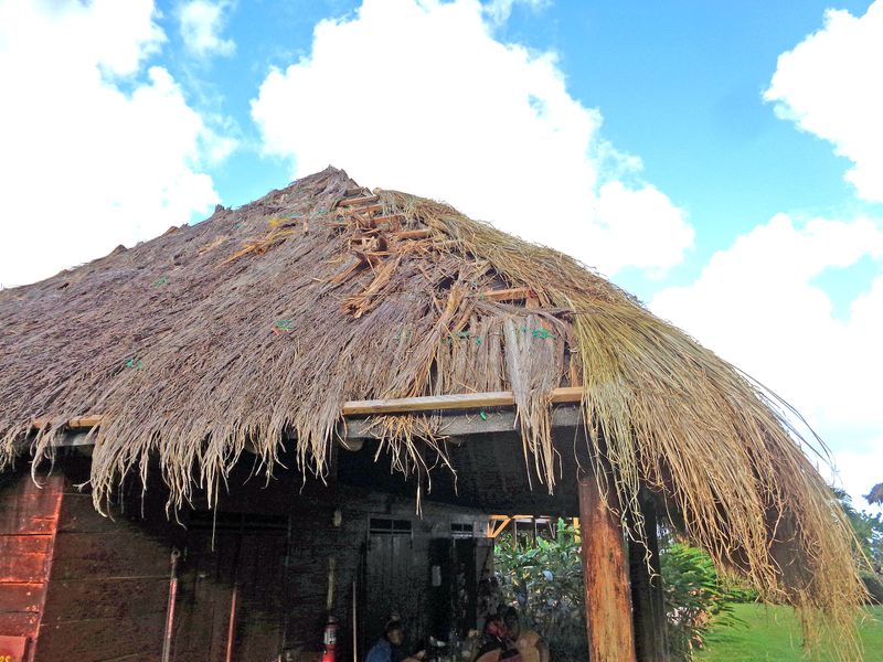 072 Traditional thatching of Homes of the Kalinago.jpg