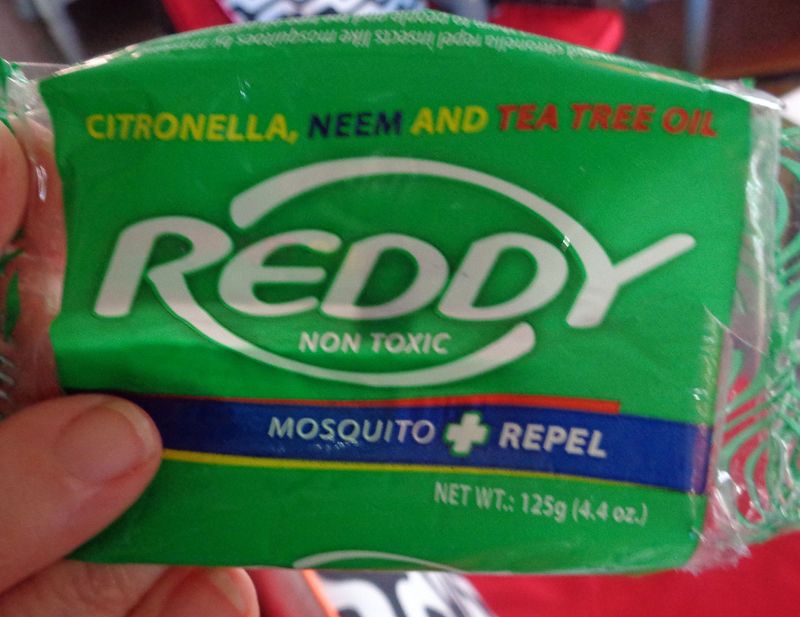085 Even the Soap Tries to Scare Away Mosquitos.jpg