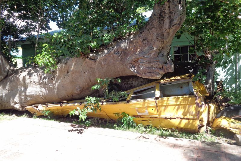 092 Even School Busses Got Crushed.jpg