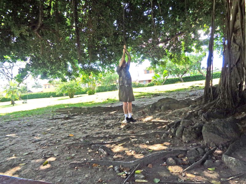 093 Is this a lynching in progress.jpg