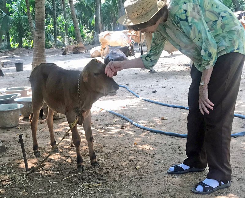 31 My Baby Cow.jpg