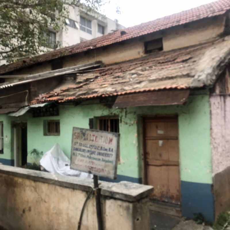 71 Modest Homes Near the Palace.jpg
