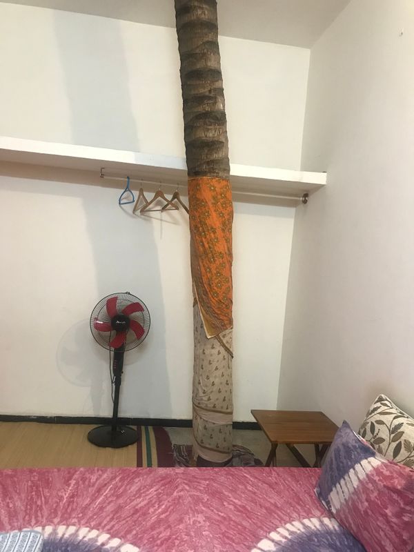 98 Did Someone Plant a Tree in My Room.jpg