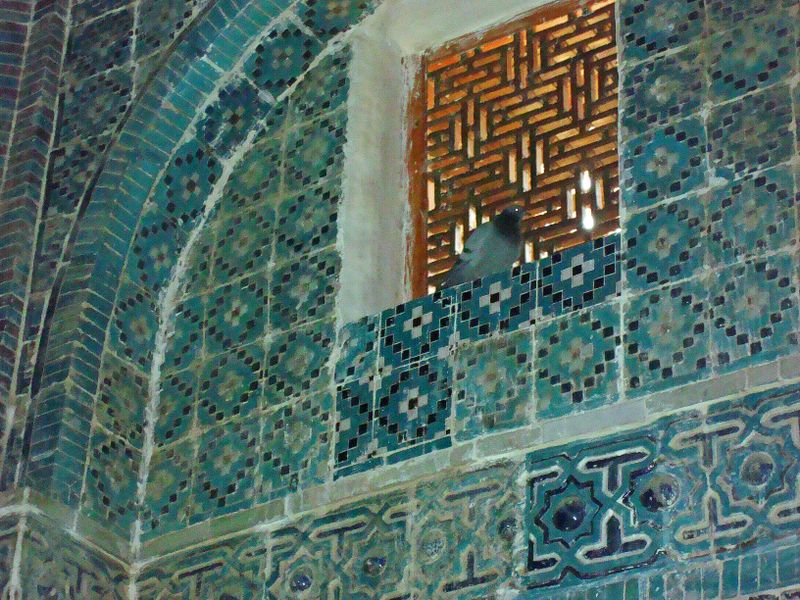 59 Birds share the madrassah sm 11 09 07 115.jpg