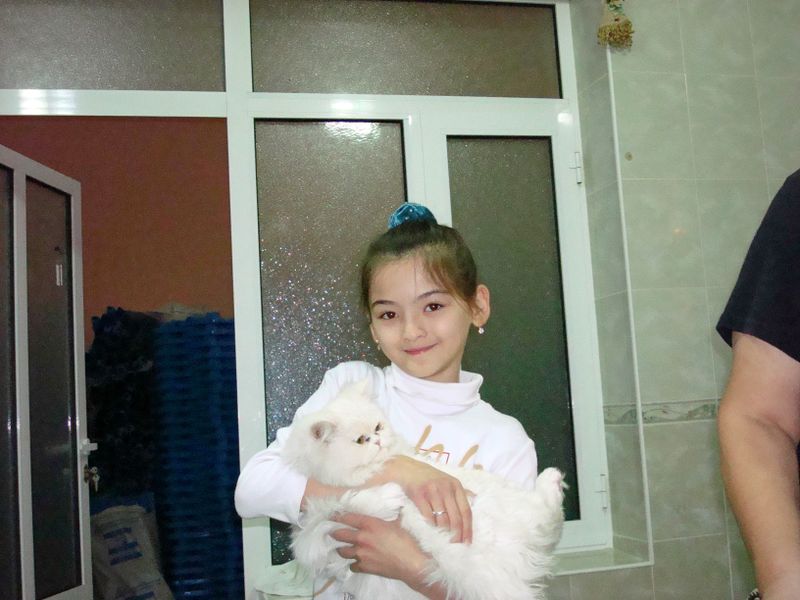 Liza- cat and Medina sm 11 11 07 055.jpg