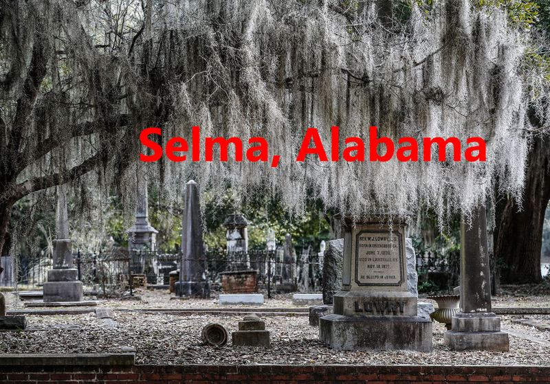 037 Sleepy Selma.jpg