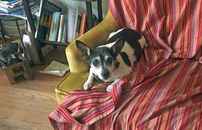 057 Just another member--June Bug.jpg