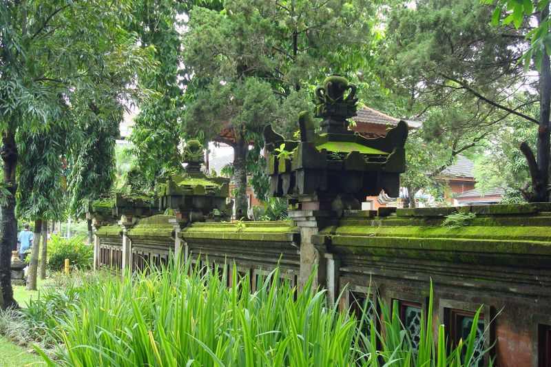 031 Everything is REALLY green.jpg