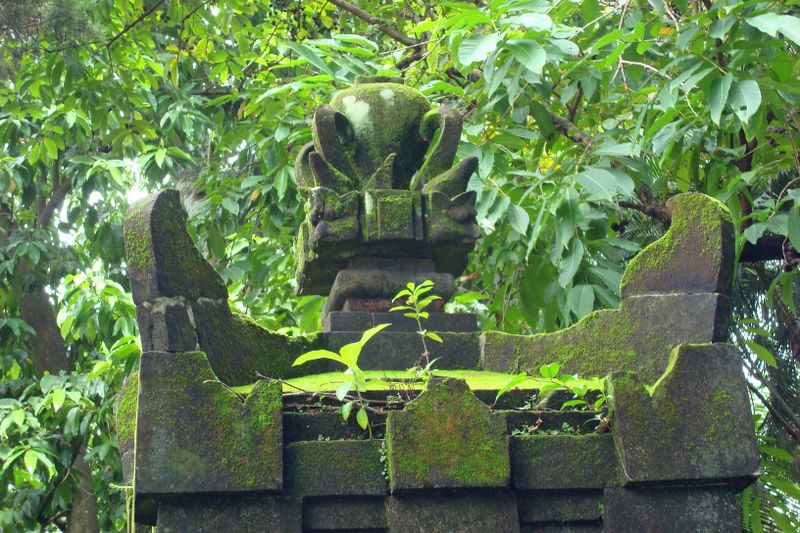 032 Lichens and plants from every orifice.jpg