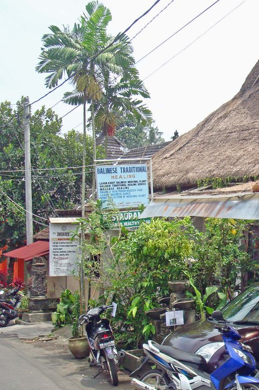 058 Wayan's Traditional Healing.jpg