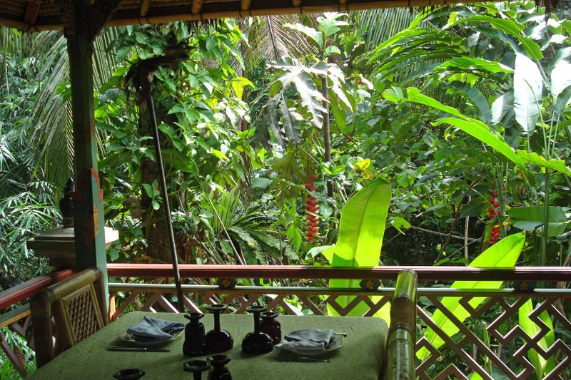 061 A Jungle in our Midst.jpg