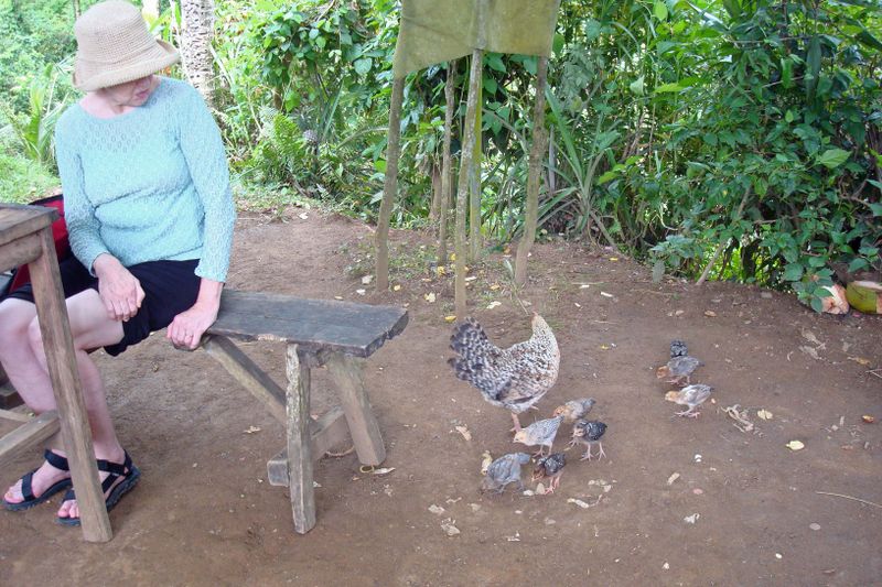 069 Spending Time with my Chickies.jpg