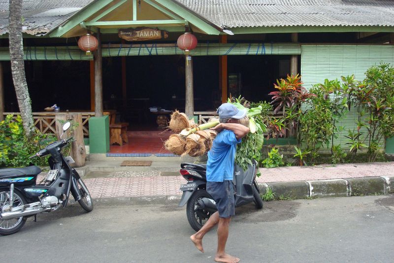 121 Coconut Delivery.jpg