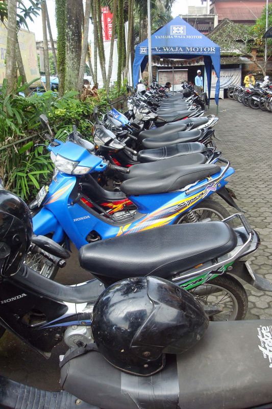 133 Endless Motorbikes.jpg