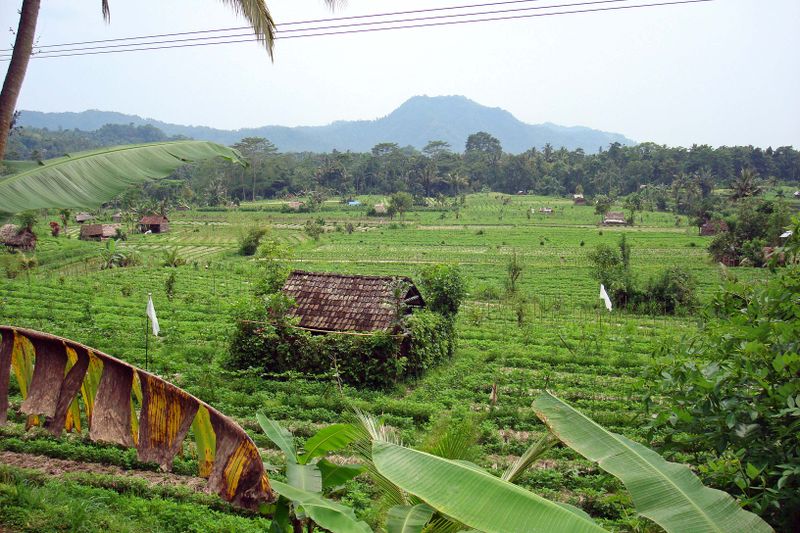 142 Sideman Road scenery.jpg