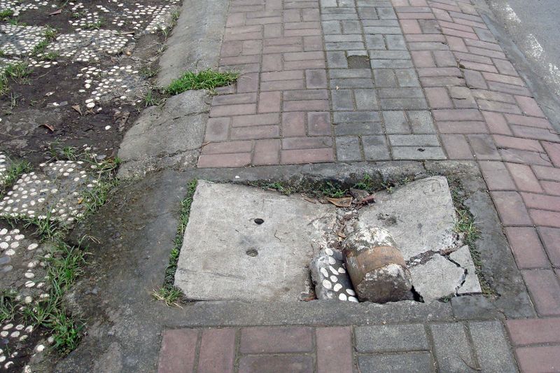 147 Alice Had to Watch her Step.jpg