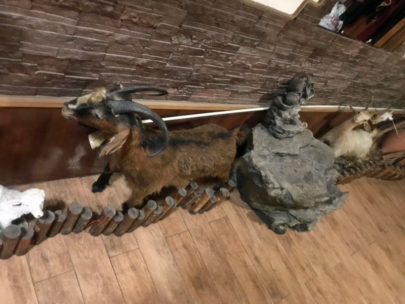 058 Decorations in a Sheep-Based Restaurant.jpg