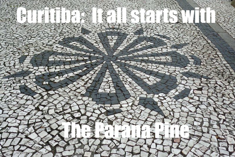 002 Curitiba Cover with pine.jpg