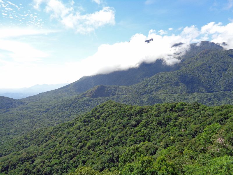082 In the Clouds.jpg