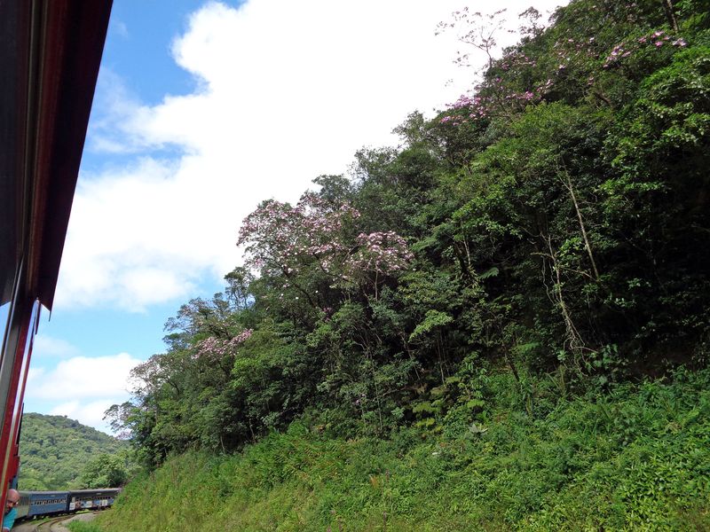 083 Steep Drops in the Tracks.jpg