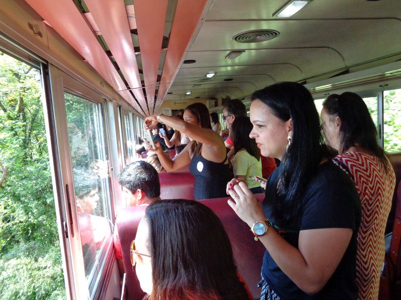 084 Cameras Snapping.jpg