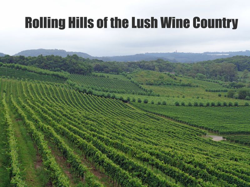 110 Wine Country Cover copy.jpg