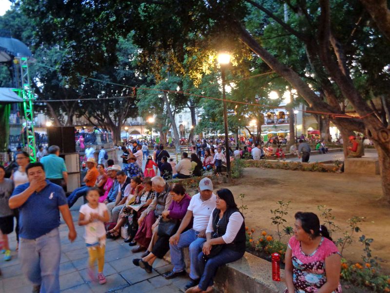 003 The Zocalo is Always a Hive of Activity.jpg