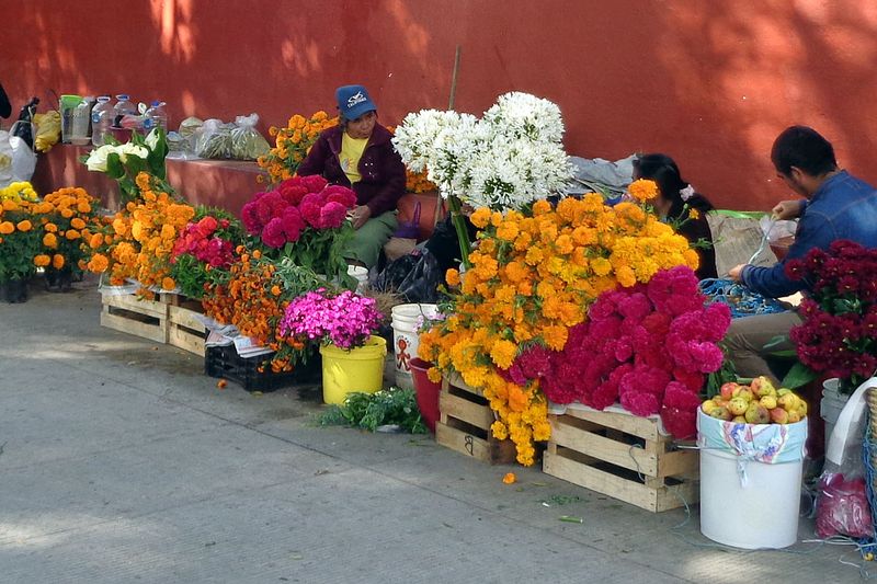 090 Flowers Everywhere.jpg