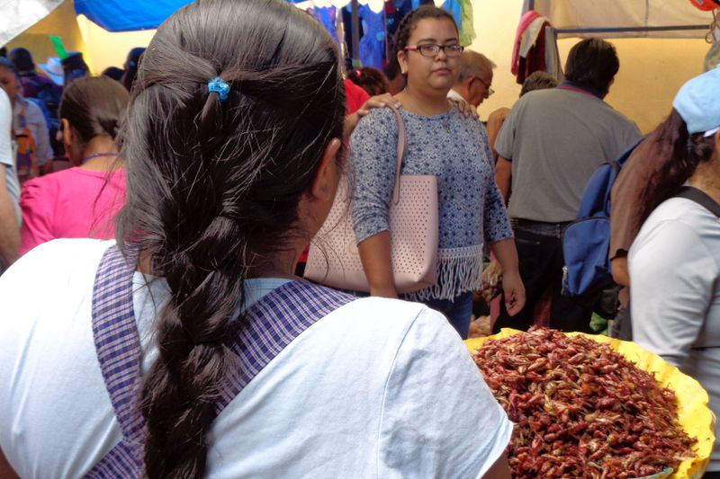 104 Perfect Braids and Grasshoppers.jpg