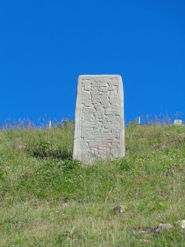 136 A well preserved stellae.JPG