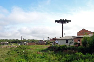 g13/84/5576984/3/174760288.69dd6182.JPEG
