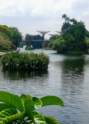 Gardens by the bay