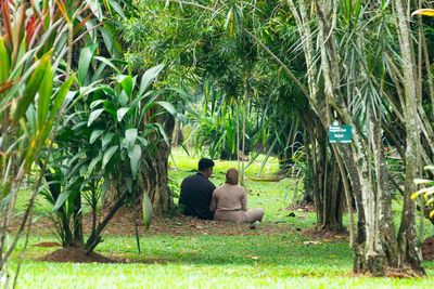 Botanical Garden, Bogor