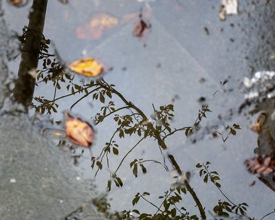 g13/84/629784/3/174114150.e2377cc5.JPEG
