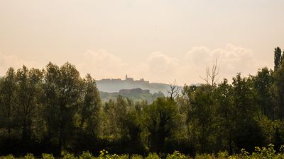 g13/84/629784/3/174812477.a0fb6ef7.JPEG