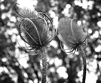 g13/84/629784/3/174996672.0aa72d88.JPEG
